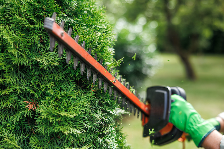 Hedge trimming service