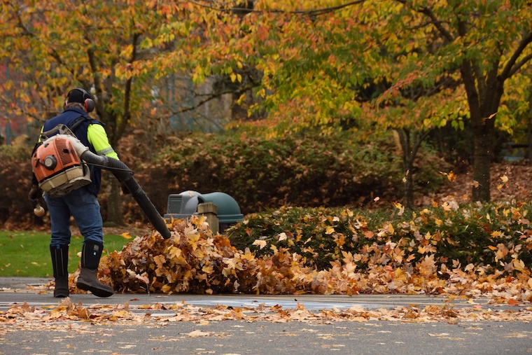 Leaf removal service